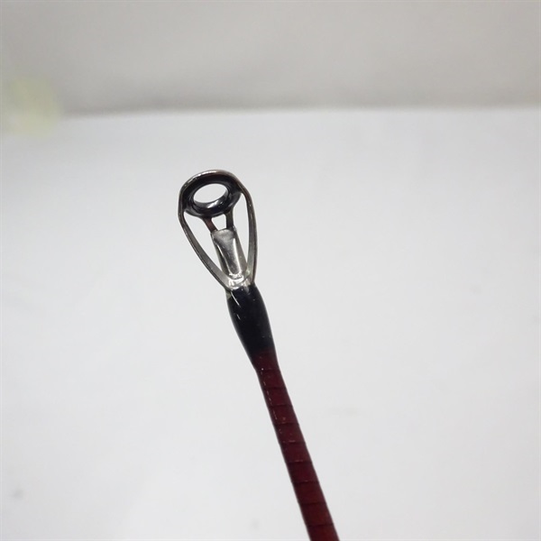 ワイルドサイドＷＳＣーＧ６６ＭＬ